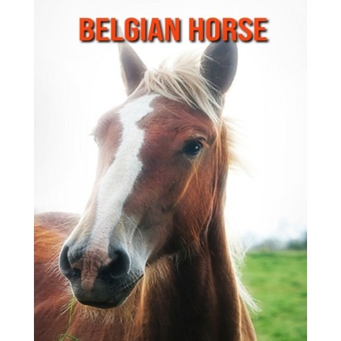 Belgian Horse: Beautiful Pictures & Interesting Facts Children Book About Belgian Horse Paperback, Independently Published, English, 9798744595050