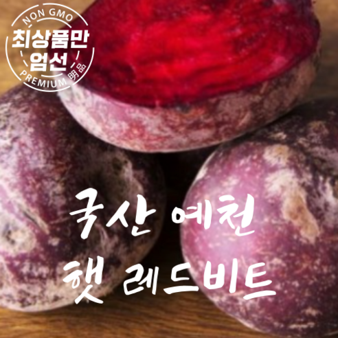 국내산 유기농 햇 레드비트 고당도 비트 2kg 3kg, 23년 햇 레드비트 5kg, 1개 유기농햇비트 Best Top5