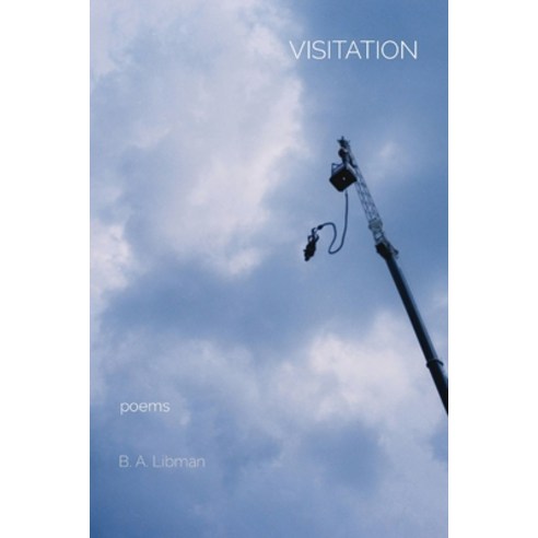 Visitation: poems Paperback, Orphee Press, English, 9781736588109