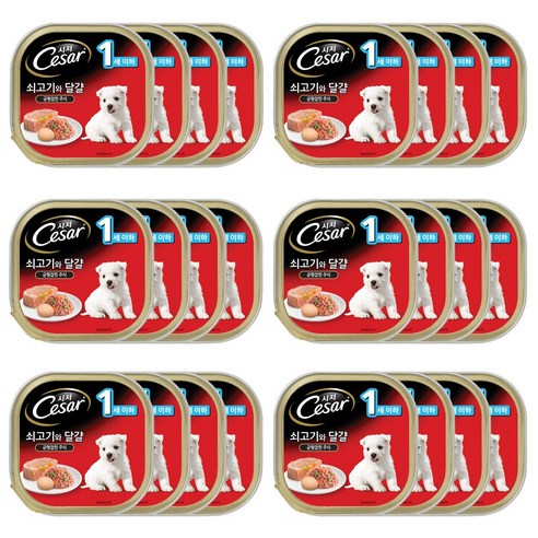 시저 애견간식 캔, 쇠고기와 달걀, 100g, 24개