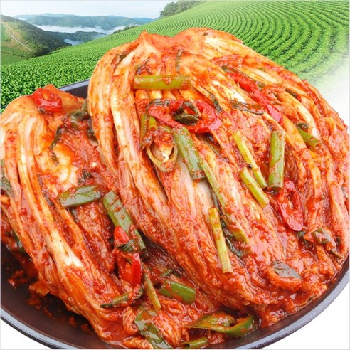 [밥도둑들] 서울/경기식 포기김치10Kg / 맛없다면 무료반품, 1개, 10kg
