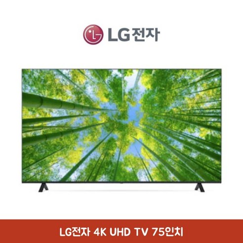 LG전자 75인치 4K UHD TV AI ThinQ 에너지효율 1등급, 벽걸이