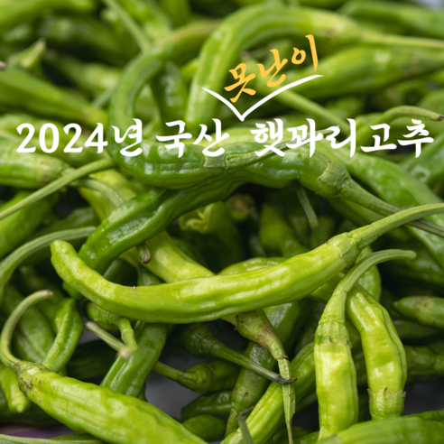 신토불이 국산 못난이 햇 꽈리고추, 1개, 500g