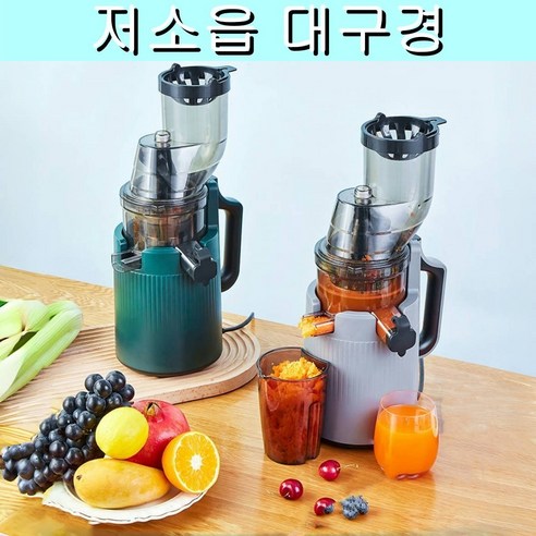 대용량 투입구 원액기 저속 압착 착즙기 프리미엄 가정용 주스기 세척쉬운 5단속도