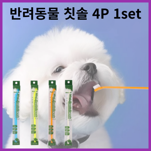 디자르토 반려동물 치석제거 칫솔 강아지 고양이 미세모, 4색, 1세트