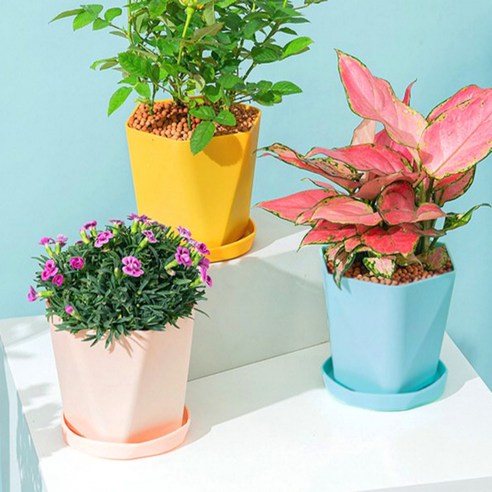다루미 마카롱 북유럽 플라스틱 화분 3개 세트 리뷰 예쁜화분