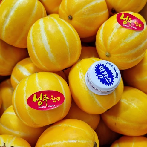 고당도 성주 꼬마참외 한입참외 소과