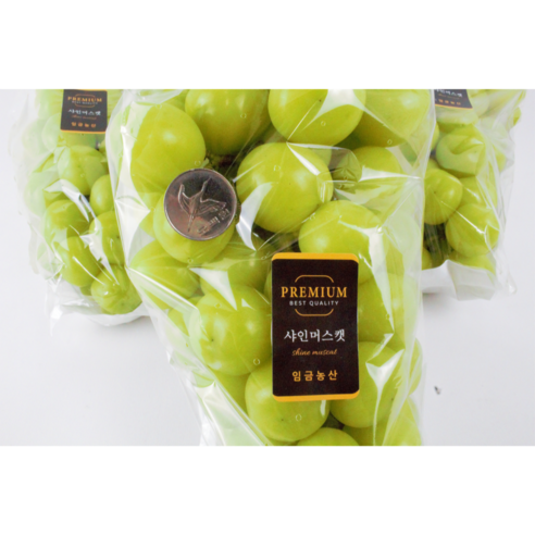 고당도의 달콤한 즐거움: 프리미엄 샤인머스켓