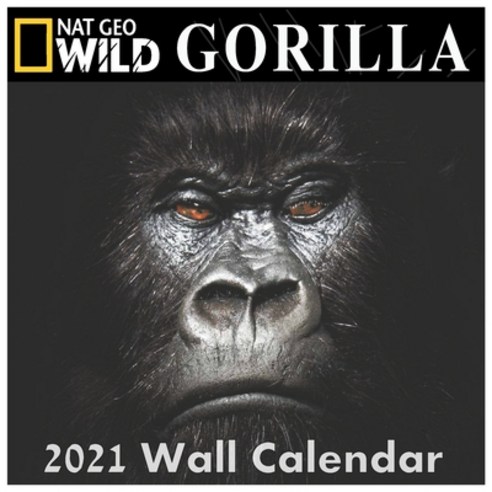 Gorilla Calendar 2021: GORILLA calendar 2021 "8.5x8.5" Inch 16 Months JAN 2021 TO APR 2022 finished ... Paperback, Independently Published, English, 9798585824203