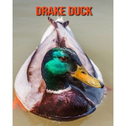 (영문도서) Drake Duck: Beautiful Pictures & Interesting Facts Children Book About Drake Duck Paperback, Independently Published, English, 9798513118213