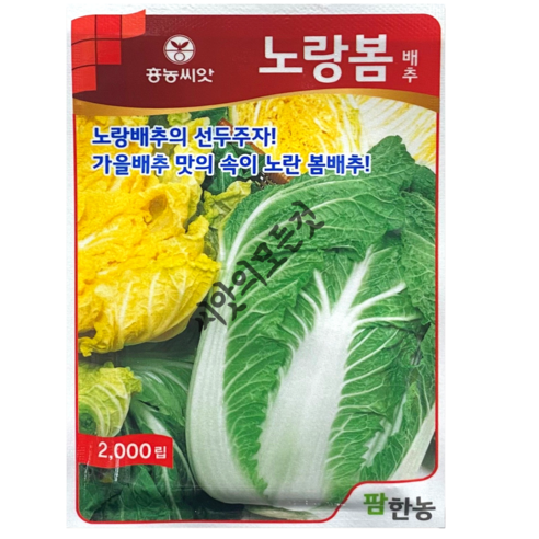 노랑봄배추씨앗 종자 2000립, 1개