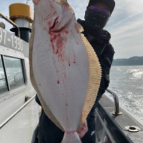 길티무버 광어다운샷로드 다운샷 낚시대 농어외수질 우럭 선상 문어대 참돔 타이라바로드, 길티무버 190ML, 혼합색상