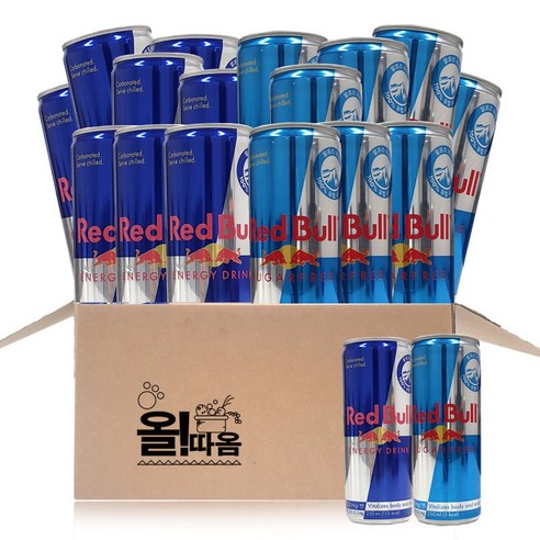 올따옴기획 에너지음료 레드불 250ml, 9개