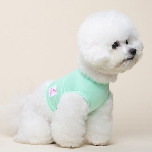 세일지 강아지 쿨링조끼 아이스팩 쿨티, 1개 대형견냉감조끼 10 강아지 애견옷 COOXL크롭 아이스티 냉감티 민트 XL, 단품
