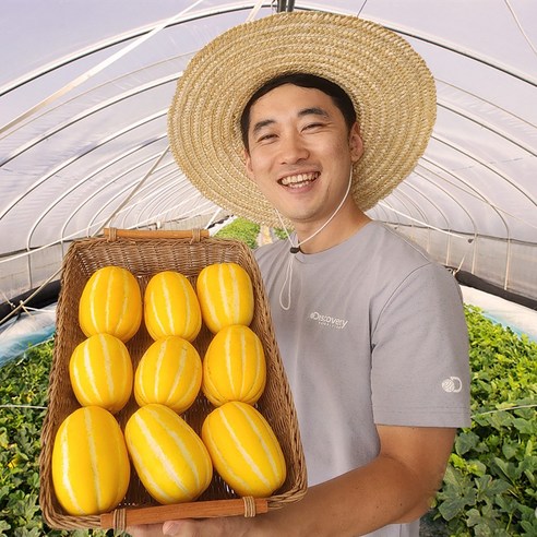 작목반장 성주참외 꿀참외 못난이 고당도 꼬마 10kg 5kg 2kg, 2개, 가정용 혼합과 10kg