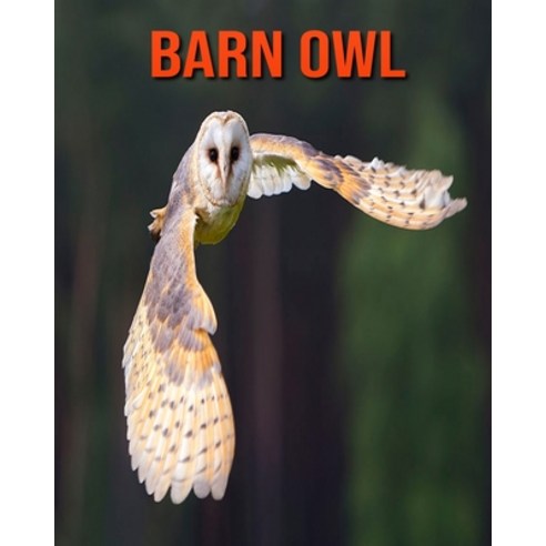 Barn owl: Super Fun Facts And Amazing Pictures Paperback, Independently Published, English, 9798693935419