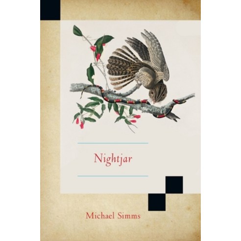 (영문도서) Nightjar Paperback, Ragged Sky Press, English, 9781933974439
