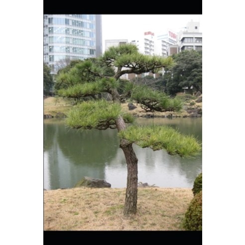 (영문도서) Her Next Door Neighbor Paperback, Independently Published, English, 9798339793755