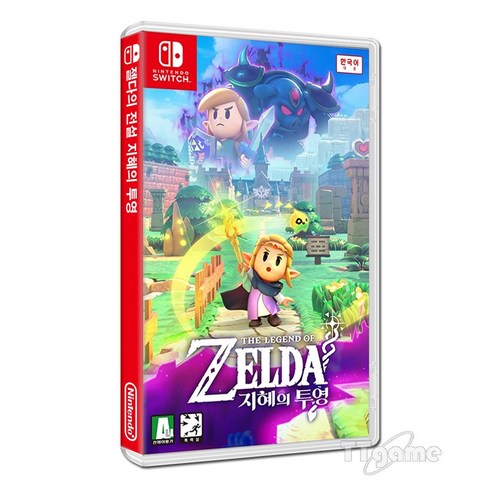닌텐도 스위치 젤다의 전설 지혜의 투영