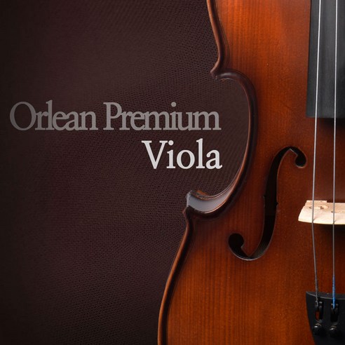 음악의 꿈을 활짝, 오를레앙 프리미엄 비올라와 함께!