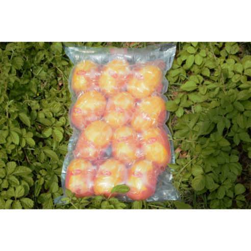 꿀 떨어지는 달콤함, 농협 공판장 직송 성주 참외