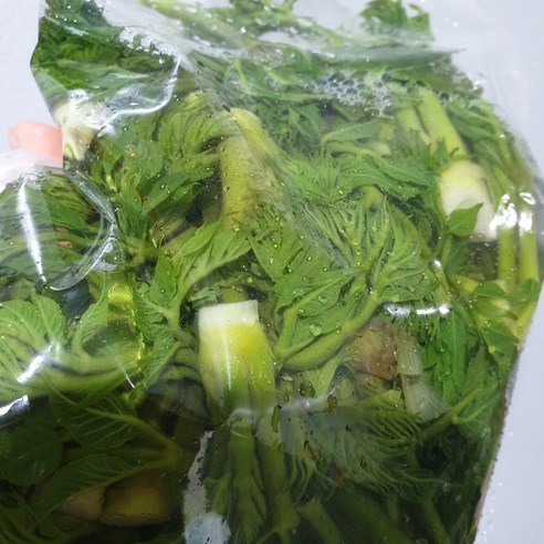 자연의 활력을 담은 올바른새움푸드 데친 참두릅