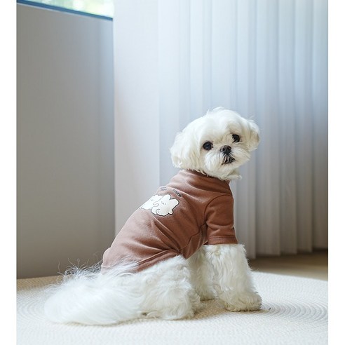 멍냥부띠크 강아지 곰돌이 티셔츠 실내복, 초코, 1개