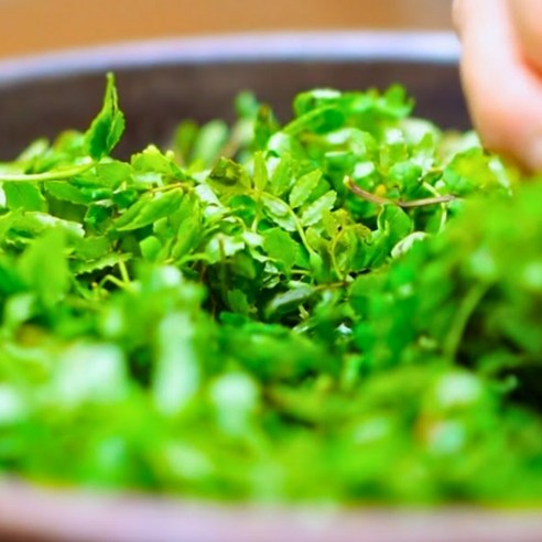 향긋한 제피잎, 깊은 고추장 맛의 조화, 밥도둑 장아찌