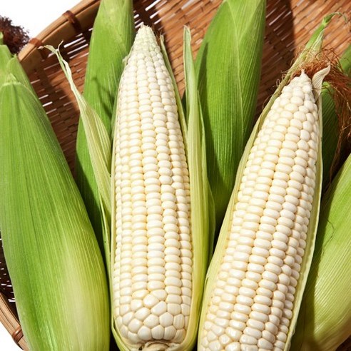 강원도 홍천 햇 찰옥수수: 갓 수확한 신선함, 쫄깃한 식감, 달콤한 맛의 완벽한 조화!