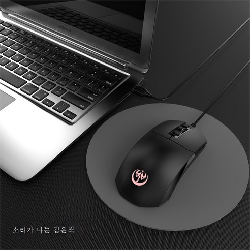 DFMEI 비즈니스 오피스 게임 유선 마우스 뮤트 광전 컴퓨터 노트북 액세서리, DFMEI 검은색의 소리