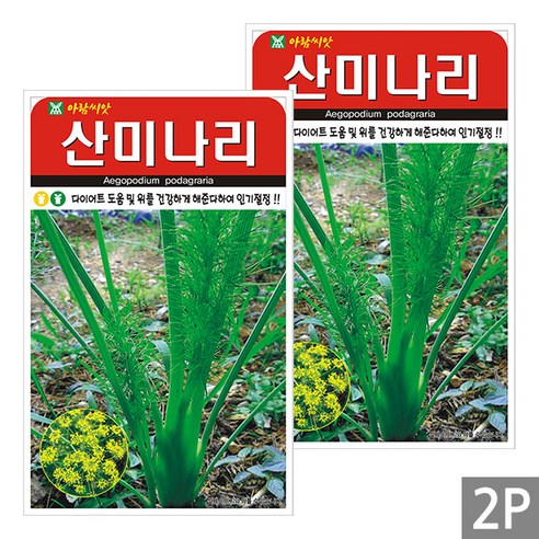 세인화분 산미나리 400립 - 미나리 씨 씨앗 산나물, 2개