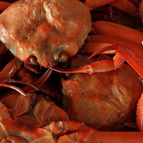 팜쿡 [팜쿡] 구룡포 자숙 홍게 정품 10-14마리 (몸통60-70/다리수율75-80), 1 Best Top5