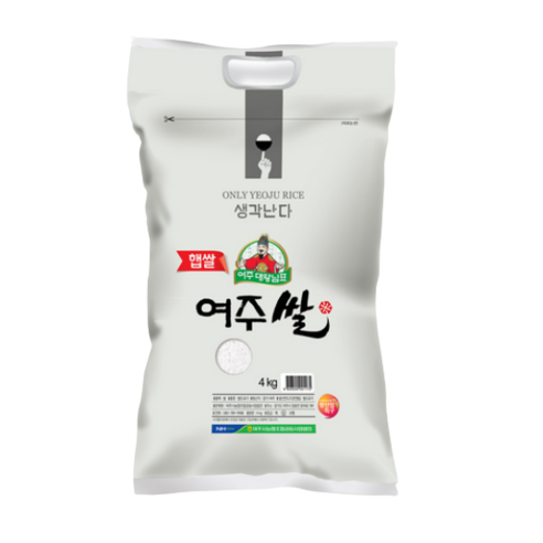 농협 2020년 햅쌀 대왕님표 여주쌀, 1개, 4kg