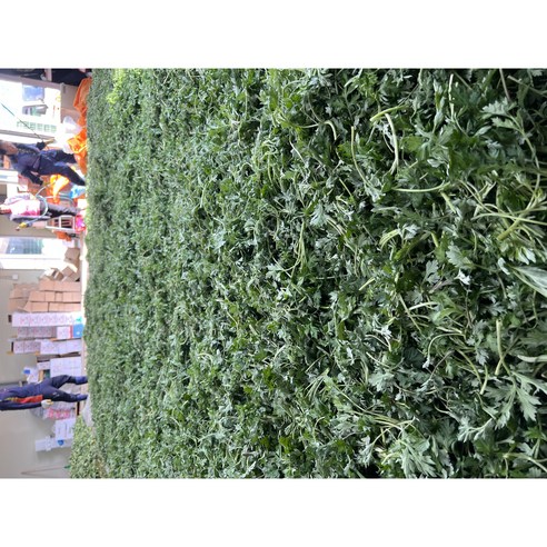 봄의 향기를 가득 담은, 거문도 해풍 쑥으로 건강한 밥상을!