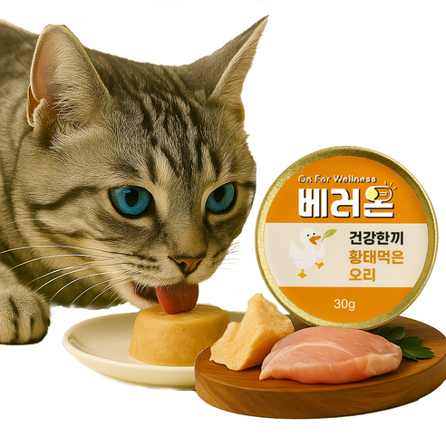 베러온 고양이 습식사료 미니캔 프리미엄 주식캔 가수분해, 30g, 12개, 황태+오리