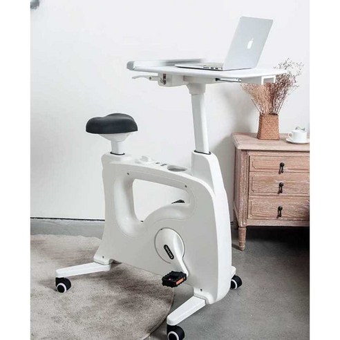 1081. 실내 워크테이블 자전거 - 일하거나 넷플릭스 보면서 운동하는 실내자전거 제품
