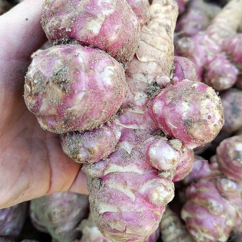 건강한 식탁을 위한 최고의 선택