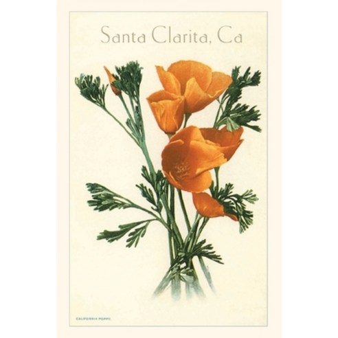 (영문도서) The Vintage Journal California Poppy Santa Clarita Paperback, Found Image Press, English, 9781648117084