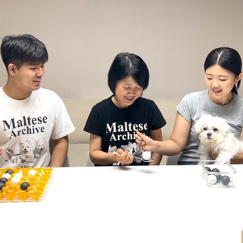 탁구공 빙고 계란판 놀이: 추억과 재미, 온 가족이 함께!