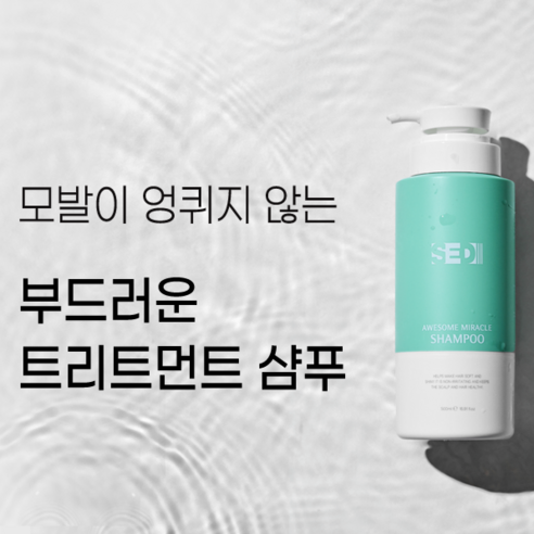 여행 중의 헤어 케어를 세디와 함께