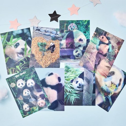 에버랜드 판다 렌티큘러 엽서 8종, 푸바오 얼굴 (Everland Panda Lenticular Postcard 8개, Pupao’s Face) 에버랜드자유이용권 에버랜드 판다 렌티큘러 엽서 8종, 푸바오 얼굴 (Everland Panda Lenticular Postcard 8개, Pupao’s Face) 에버랜드자유이용권