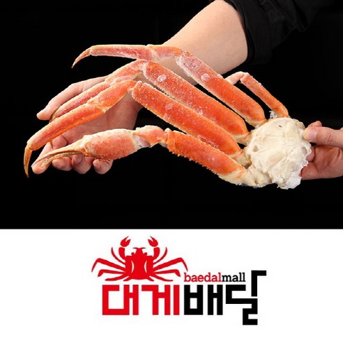 고품질의 러시아산 마가단 스노우크랩으로 특별한 해산물 향연을 만드세요.