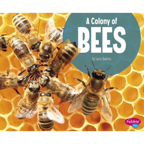 A Colony of Bees Paperback, Pebble Books