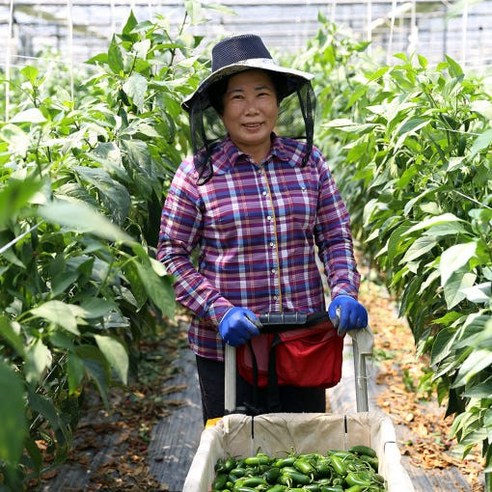 농가의 정성으로 빚은, 밥상을 특별하게 만드는 할라피뇨