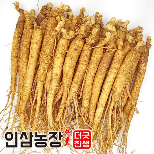 더굿진생 인삼 수삼 금산인삼 원수삼 난발삼 파삼 삼계 350g, (세척안함)알뜰형 350g(24~33뿌리), 1개