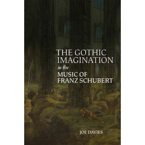 (영문도서) The Gothic Imagination in the Music of Franz Schubert Hardcover, Boydell Press, English, 9781837651627