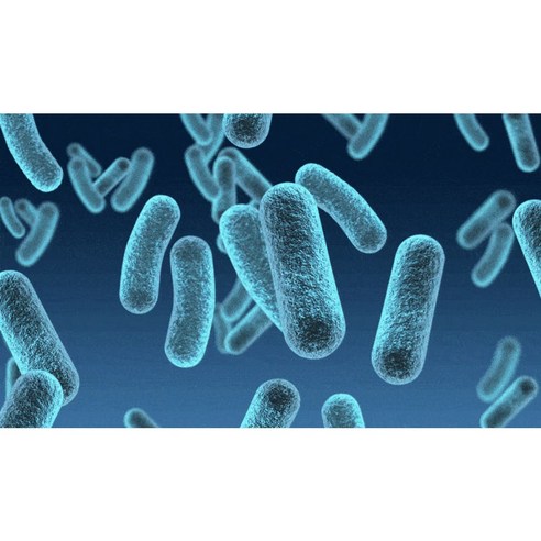 미생물삼총사로 시들시들한 식물을 싱싱하게 되살리고 풍성한 수확을 경험하세요!