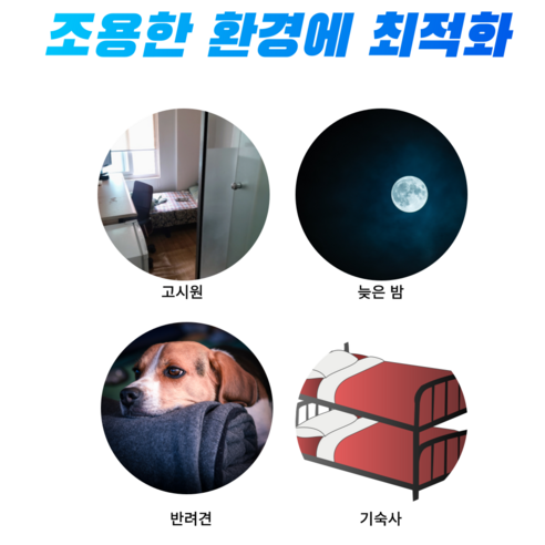 조말린 저소음 드라이기는 효과적인 드라이 기능과 휴대성까지!