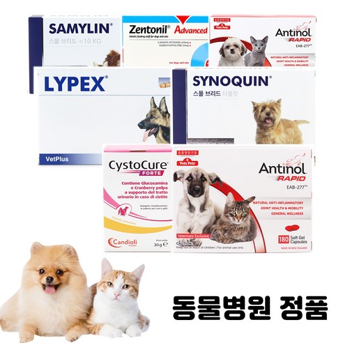 베츠페츠 베토퀴놀 벳플러스 버박 넬라펫 강아지 고양이 영양제 신장 관절 오메가3 유산균 칼슘 레날 안티놀래피드, 벳플러스 액티베이트, 1개