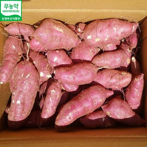 무농약인증 퍽퍽한 22년 해남 햇고구마 진율미 밤고구마 3kg 5kg, 1개, 13. 밤고구마 특상사이즈 3kg